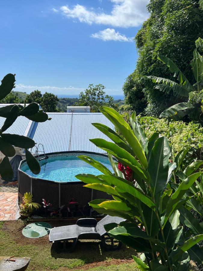 Villa Iguana, Duplex Paisible, Vue Magnifique Mer Et Rocher Du Diamant, Piscine Sainte-Luce Exteriör bild